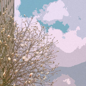 鲁大师免费日韩
